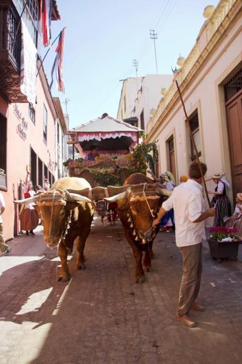 Hotel Rural Orotava Ла-Оротава Екстер'єр фото